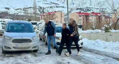 Hakkari'de terör operasyonunda 2 tutuklama