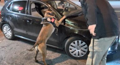 İstanbul'da helikopter ve narkotik köpeğinin de destek verdiği 'Yeditepe Huzur' denetimi yapıldı