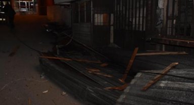 İzmir'de kuvvetli rüzgar; ağaç devrildi, 2 araç hasar gördü