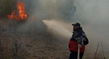 Kadirli'de orman yangın