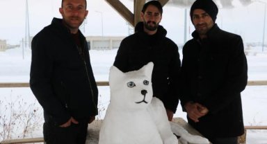 Kardan 'Van kedisi' de yaptılar