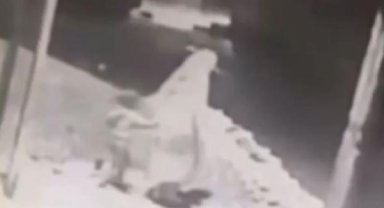 Kızını boğarak öldüren anne: İlaçların etkisiyle kızımı boğdum