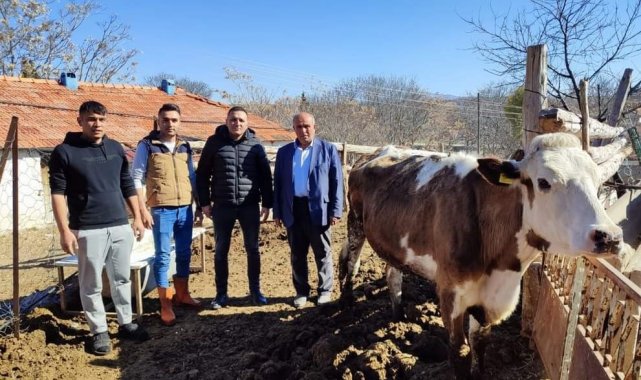 Köy muhtarı depremzedeler için büyükbaş hayvan bağışladı