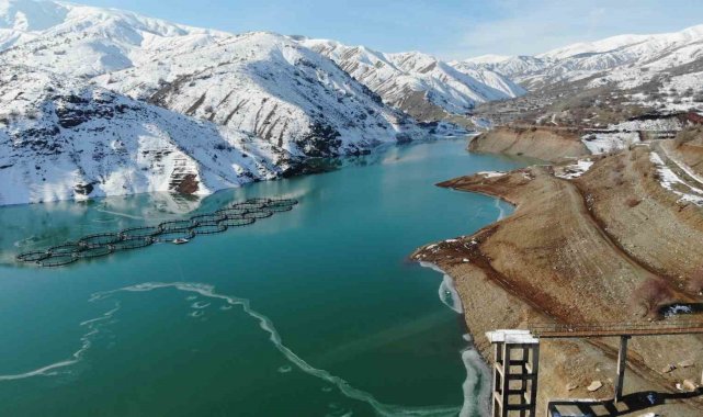 Kuraklık ve yağış azlığının etkisiyle Erzincan Barajı'nın su seviyesi yüzde 26,78'e düştü