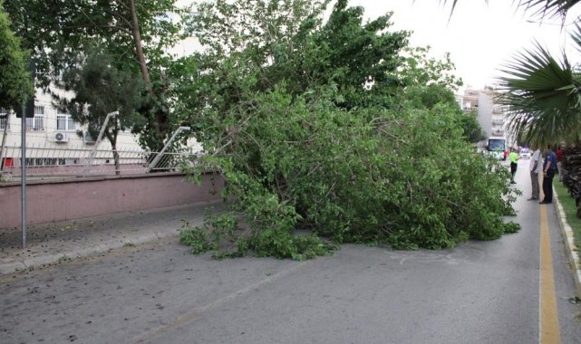 Meteoroloji'den Aydın'a kuvvetli rüzgar ve fırtına uyarısı