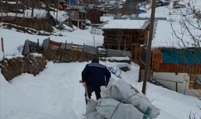 Odunları kızaklarla indirip depremzedelere gönderdiler