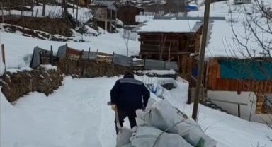 Odunları kızaklarla indirip depremzedelere gönderdiler
