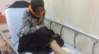 Okula giderken sokak köpeklerinin saldırısına uğrayan Hayrunnisa yaralandı