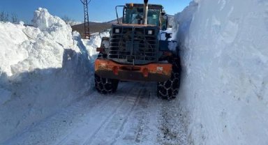 Ordu'da 43 yerleşim yerinin yolu kardan kapalı