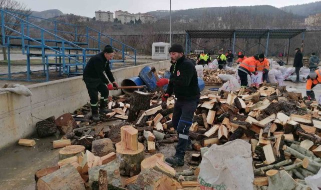 Park ve Bahçeler Müdürlüğü ekiplerinin depremzedeler için odun seferberliği