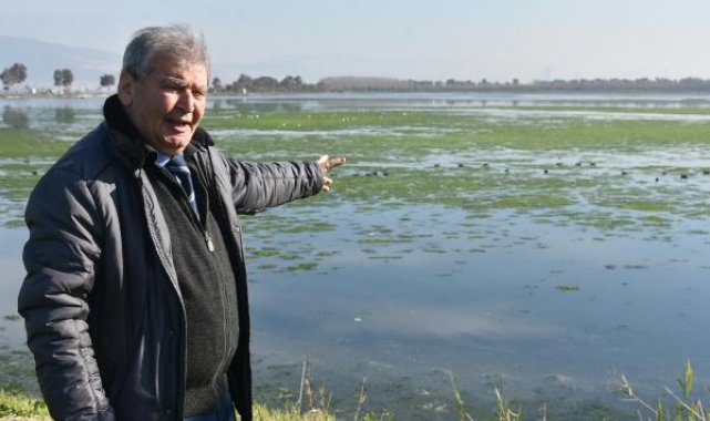Prof. Dr. Yaşar: Bu sene İzmir Körfezi'nde deniz marulu hiç bitmedi