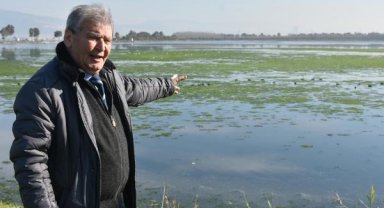 Prof. Dr. Yaşar: Bu sene İzmir Körfezi'nde deniz marulu hiç bitmedi