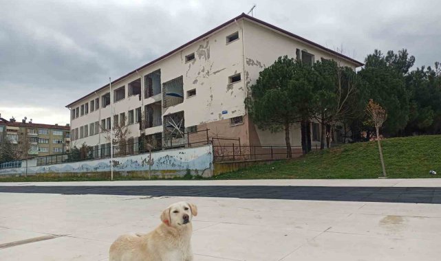 Samsun'da okul binaları güçlendiriliyor