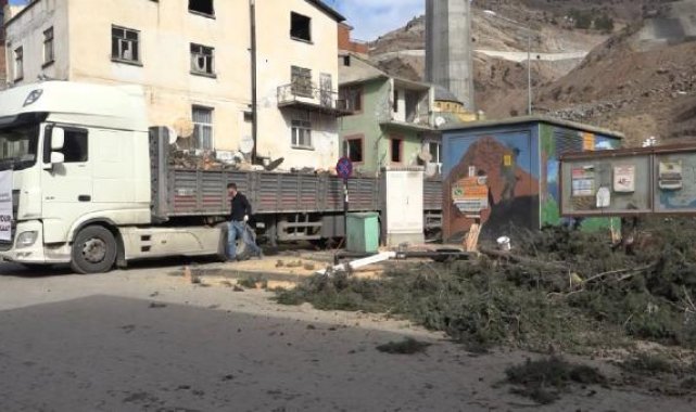 Sular altında kalacak ilçenin ağaçları, depremzedeleri ısıtacak