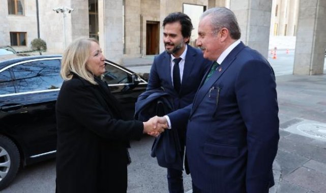 TBMM Başkanı Şentop, PARLATINO Başkanı Giacoppo ile bir araya geldi