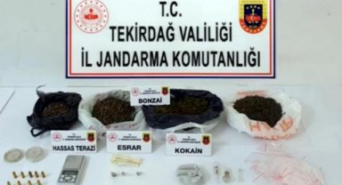 Tekirdağ'da 'Kökünü Kurutma Operasyonu': 27 gözaltı