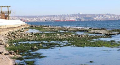 Tekirdağ'da deniz 25 metre çekildi; 'Kral Yolu' ortaya çıktı