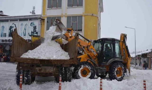 Tercan'da kar temizliği
