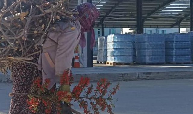 Topladığı odunları sırtında taşıyarak depremzedeler için getirdi