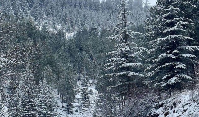 Toroslar'da kartpostallık manzara