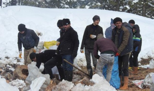 Toroslar'da köylüler ve jandarmanın kırdığı odunlar deprem bölgelerine gönderildi