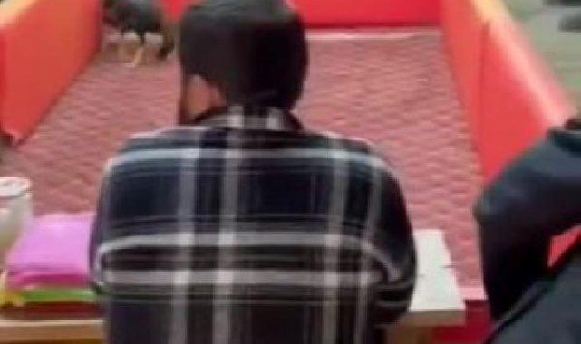Trabzon'da 'horoz dövüşü' baskını; 16 kişiye 64 bin 880 lira ceza
