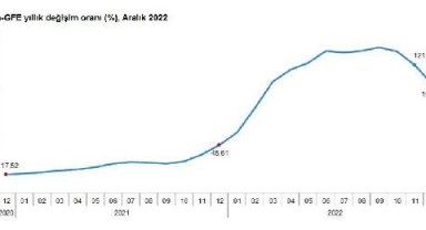 TÜİK: Tarımsal girdi fiyat endeksi aralıkta arttı