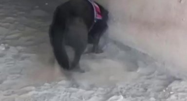 Tutuklanan torbacılar, uyuşturucuyu menfez altları ve metruk binalara saklamış