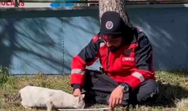 UMKE personeli, sokak kedisi ile yemeğini paylaştı