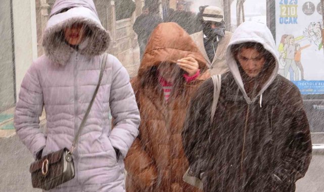 Van'da kar yağışı başladı