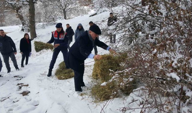 Yaban hayvanları unutulmadı
