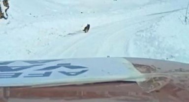 Yolu kaybeden ekipler, önlerine çıkan köpeği takip ederek yardım bekleyen köye ulaştı
