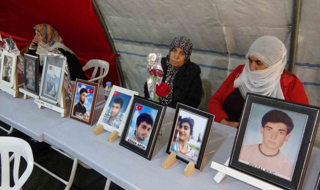 Yüreği yanık anne Laçin: "Bizim ciğerlerimiz yandı başka ciğerler yanmasın"