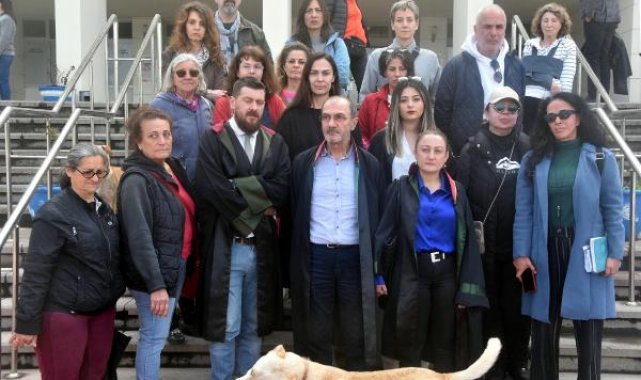 3 köpeği zehirleyen sanığın yargılandığı davada 'şikayet yok' diyerek durdurma kararı