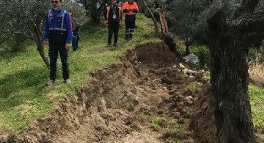 'Depremde ikiye bölünen zeytin ağacının nedeni fay kaynaklı değil'