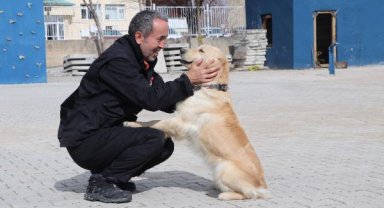 'Poyraz' ve 'Köpük', 8 kişinin kurtarılmasını sağladı