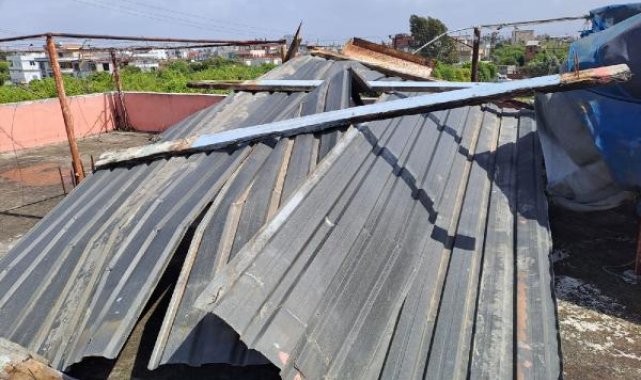 Adana'da fırtına ağaçları devirdi