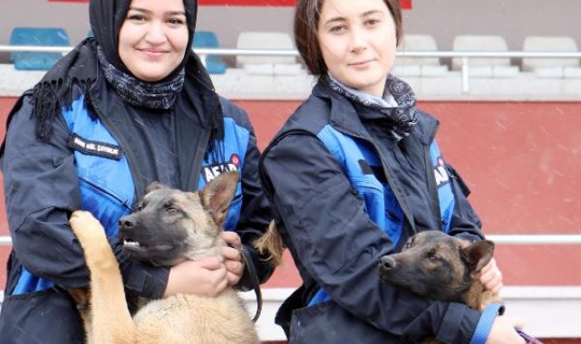 AFAD'ın Çaki ve Latte'si eğitimde