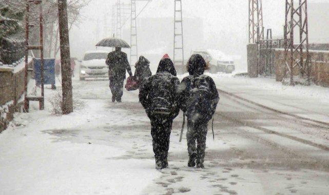 Ahlat'ta kar yağışı etkili oluyor
