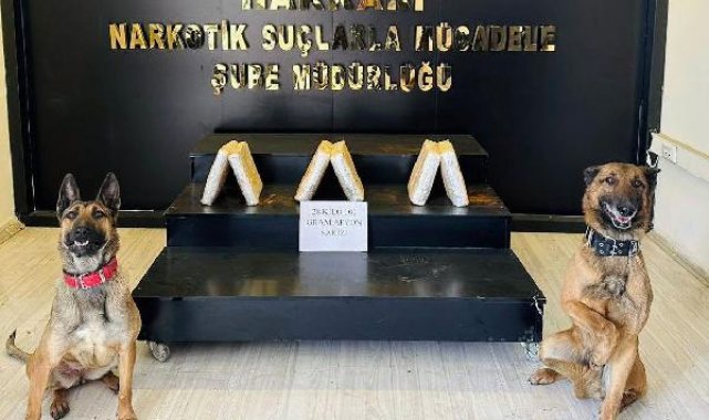 Araçtaki uyuşturucuyu narkotik köpekleri 'Ayzek' ve 'Bella' buldu