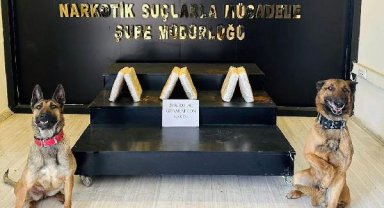 Araçtaki uyuşturucuyu narkotik köpekleri 'Ayzek' ve 'Bella' buldu