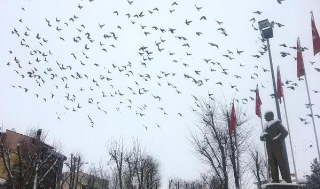 Ardahan ve Erzincan'da kar yağışı
