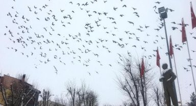Ardahan ve Erzincan'da kar yağışı