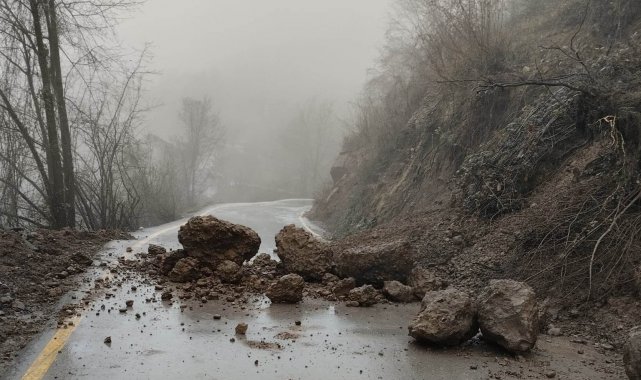 Aşırı yağışlar heyelana sebep oldu