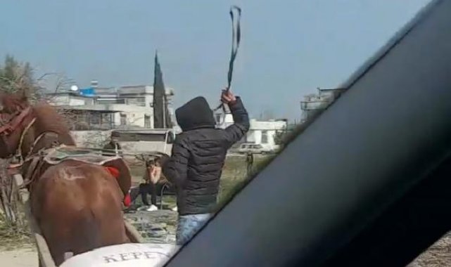 Ata kemerle defalarca vuran şüpheliye 'barınakta çalışma' cezası