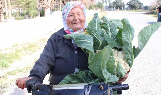 Ayşe nine üreterek genç kalıyor