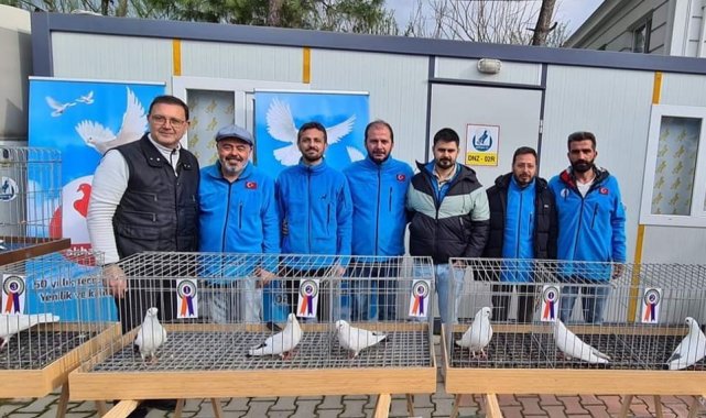 Azman güvercinleri güzelliğiyle yarıştı