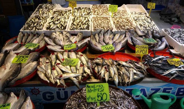 Balık avında Karadeniz'i bekleyen tehlike
