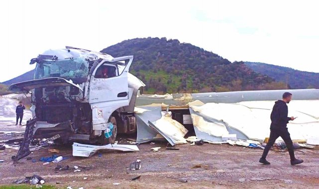 Balık yüklü tır kaza yaptı