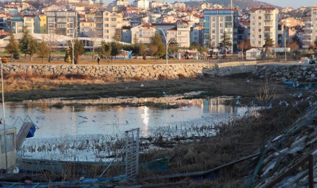Beyşehir Gölü'nde kuraklığın ardından 'otlanma' tehlikesi